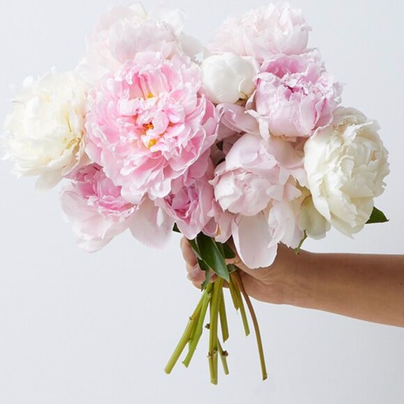 peonyplaceshop